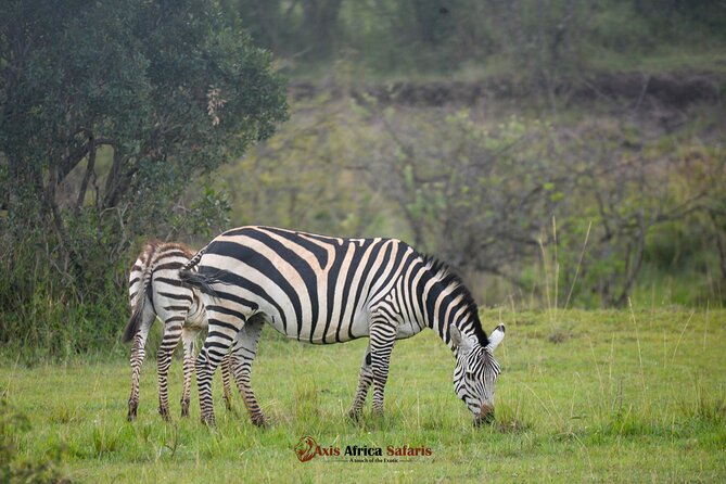 Multi Day Masai Mara Lake Nakuru Park Hellsgate Park Tour - Day 1: The Great Rift Valley and your first Mara game drive