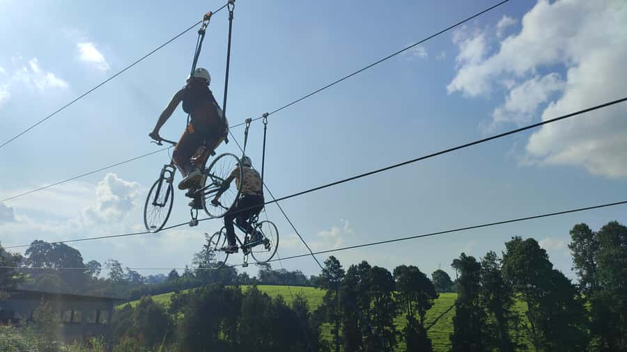 Nairobi: 1 Day of Pure Adrenaline Adventure in Kenya - Nairobi’s treetop test of nerve