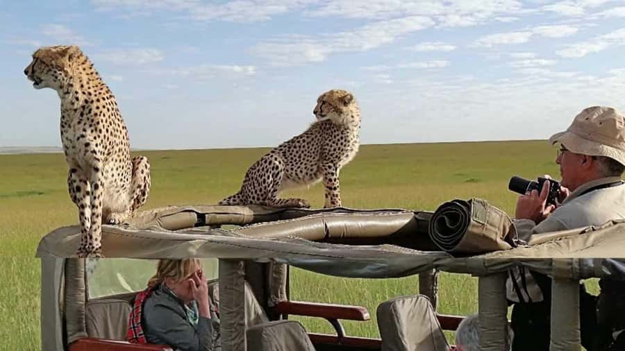 Nairobi: 3-Day Maasai Mara Group Tour with 4X4 Jeep Safari - Key points to know before you book