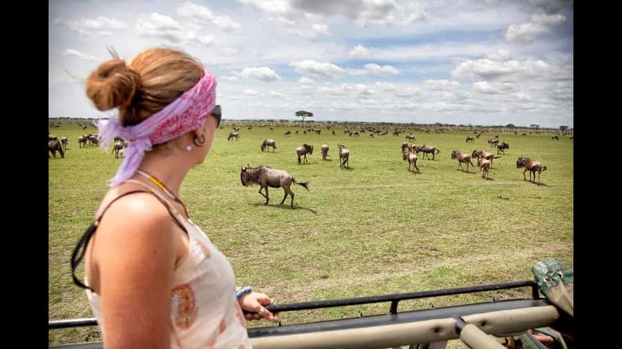 Nairobi: 3-Day Maasai Mara Group Tour with 4X4 Jeep Safari - Camp life, power, showers, and expectations