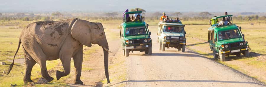 Nairobi: 3-Day Maasai Mara Group Tour with 4X4 Jeep Safari - The guide can shape the whole safari
