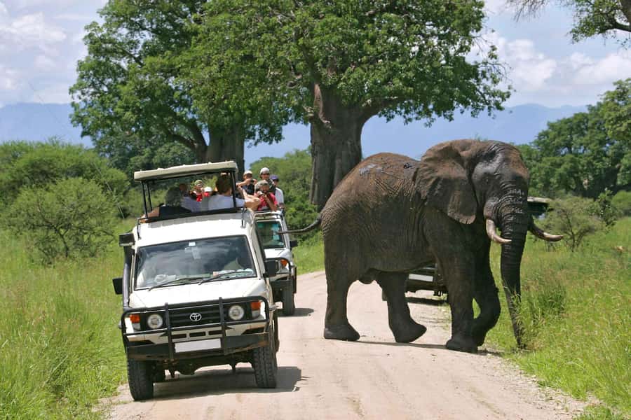 Nairobi: 3-Day Maasai Mara Group Tour with 4X4 Jeep Safari - Your first afternoon inside the Maasai Mara