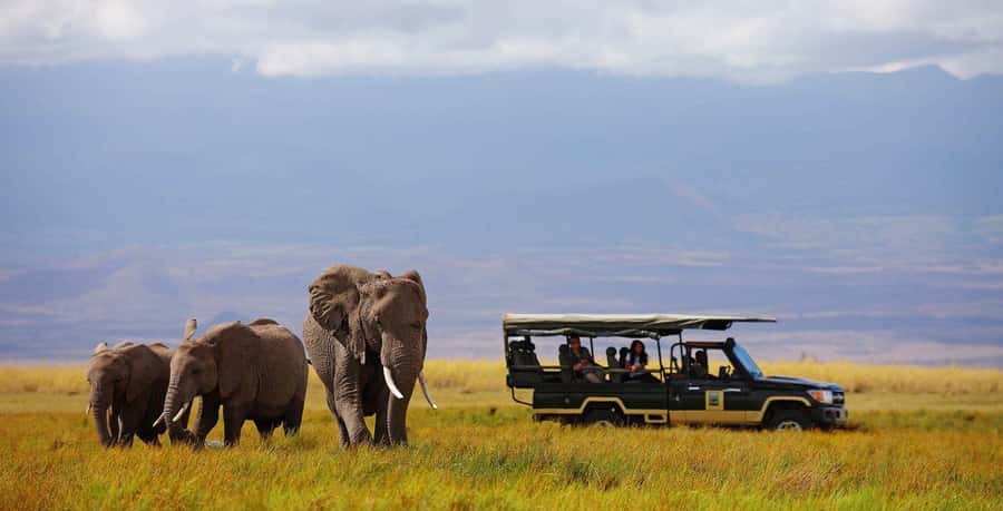 Nairobi: 4-Day Maasai Mara & Lake Nakuru Camping Safari - Why the Maasai Mara is the heart of this safari