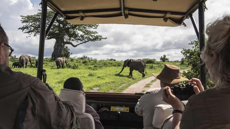 Nairobi: 4-Day Maasai Mara & Lake Nakuru Camping Safari - Camping in the Mara, then a hotel near Nakuru