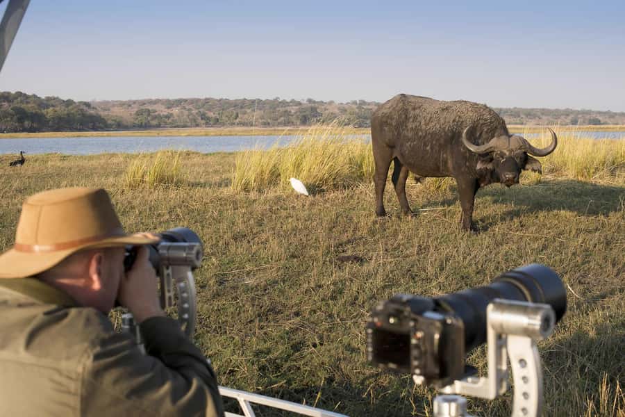 Nairobi: 4-Day Maasai Mara & Lake Nakuru Camping Safari - Lake Nakuru brings rhinos and flamingos
