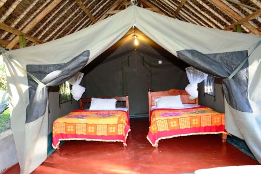 Nairobi: 4 Day Masai Mara and Lake Nakuru Camping Safari - Should You Book It?