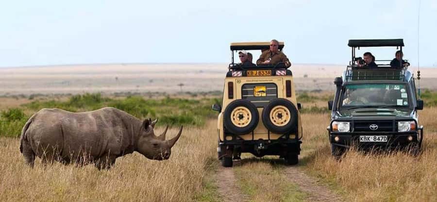 Nairobi: 4 Days Masai Mara & Lake Nakuru 4WD Camping Safari - Who should book this safari?