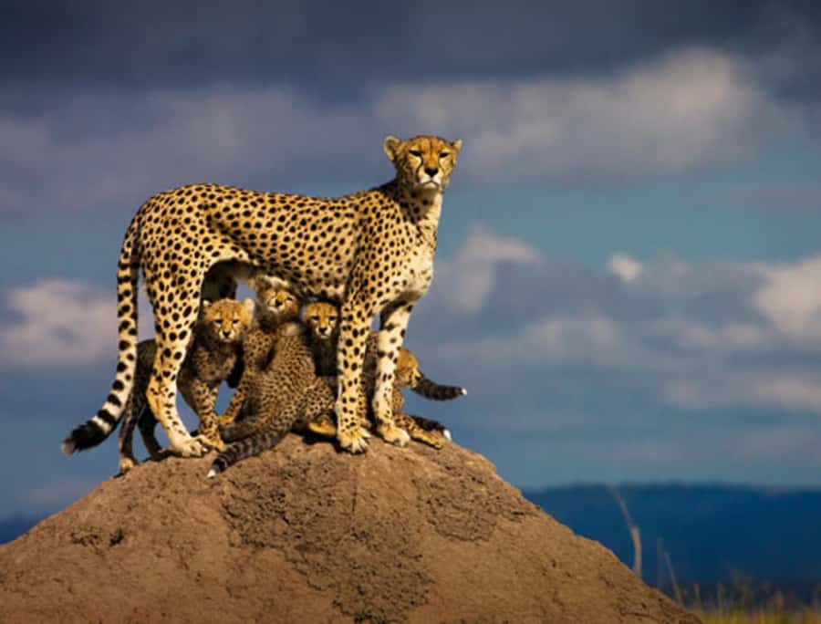 Nairobi: 5 Days Maasai Mara, Nakuru & Naivasha Tour - Day one: the Great Rift Valley and first Mara drive