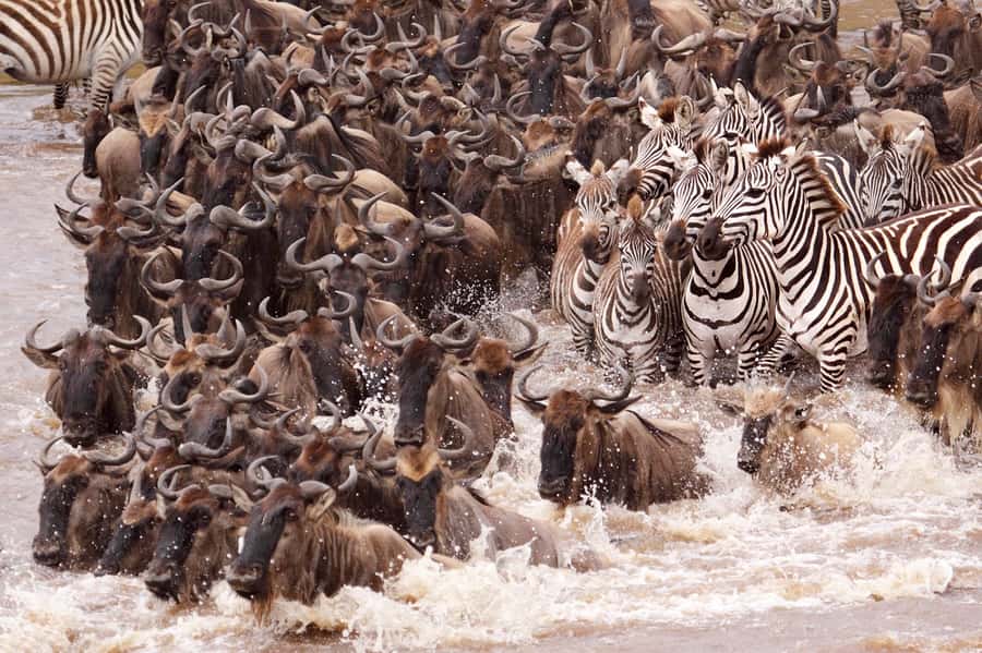 Nairobi: 5 Days Maasai Mara, Nakuru & Naivasha Tour - Day three: leaving the Mara for Nakuru