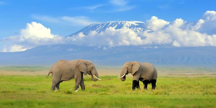 Nairobi: Amboseli National Park Day Trip with Masai Village - Observation Hill and the Amboseli swamps