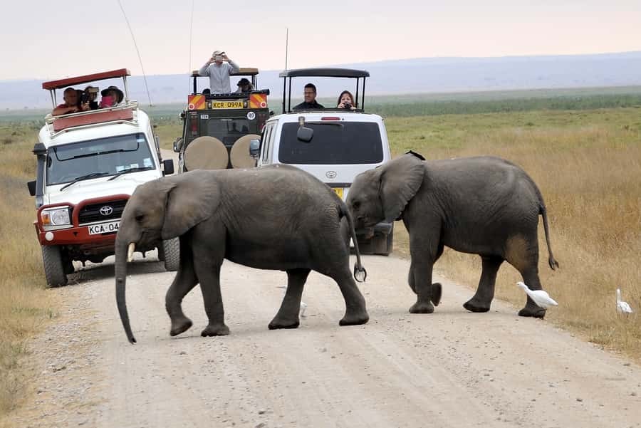Nairobi: Amboseli National Park Day Trip with Masai Village - The shorter afternoon drive back toward Nairobi