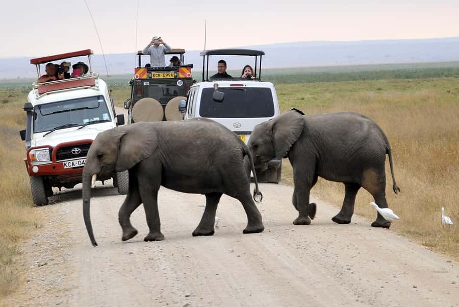 Nairobi: Amboseli National Park Tour & Maasai Village Visit - The Nairobi departure and the four-hour road