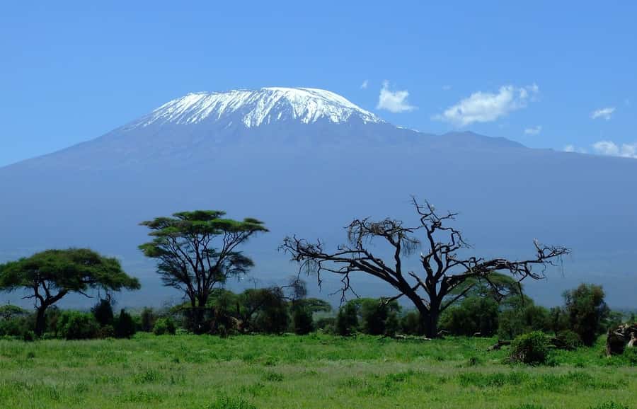 Nairobi: Amboseli National Park Tour & Maasai Village Visit - Entering Amboseli’s plains and marshes