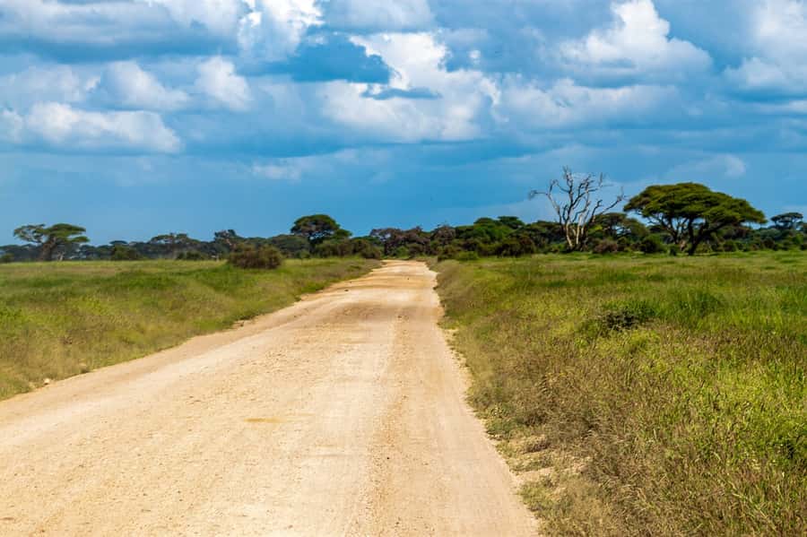 Nairobi: Amboseli National Park Tour & Maasai Village Visit - Lunch at Ol Tukai Lodge
