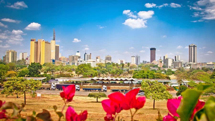 Nairobi City Guided Tour - Starting With Enkare Nyrobi
