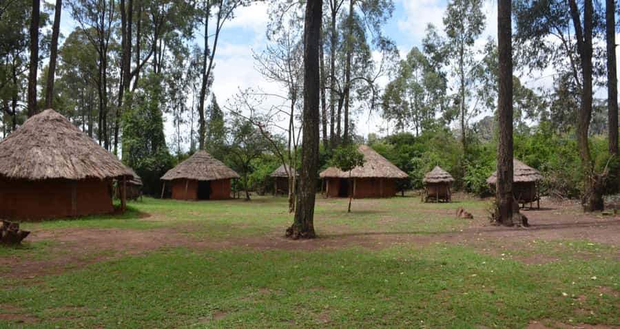 Nairobi: City Tour with Bomas of Kenya Visit - A full day that gives Nairobi a clear shape