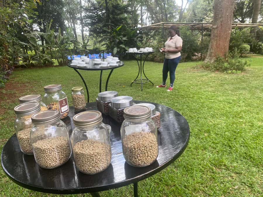 Nairobi: Coffee Factory and Farm Tour with Transfer - Key points to know before you book