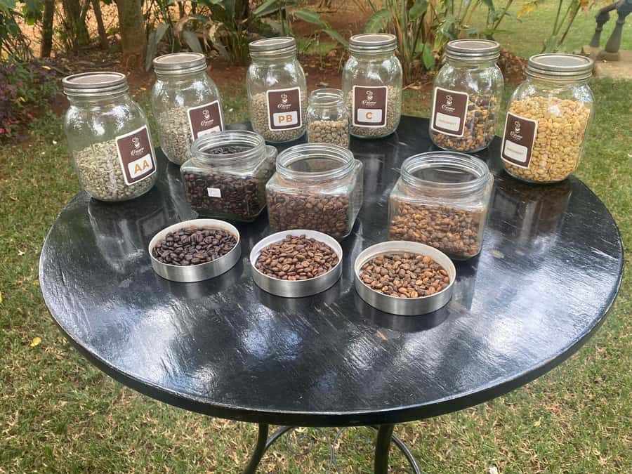 Nairobi: Coffee Factory and Farm Tour with Transfer - Why Fairview’s setting matters