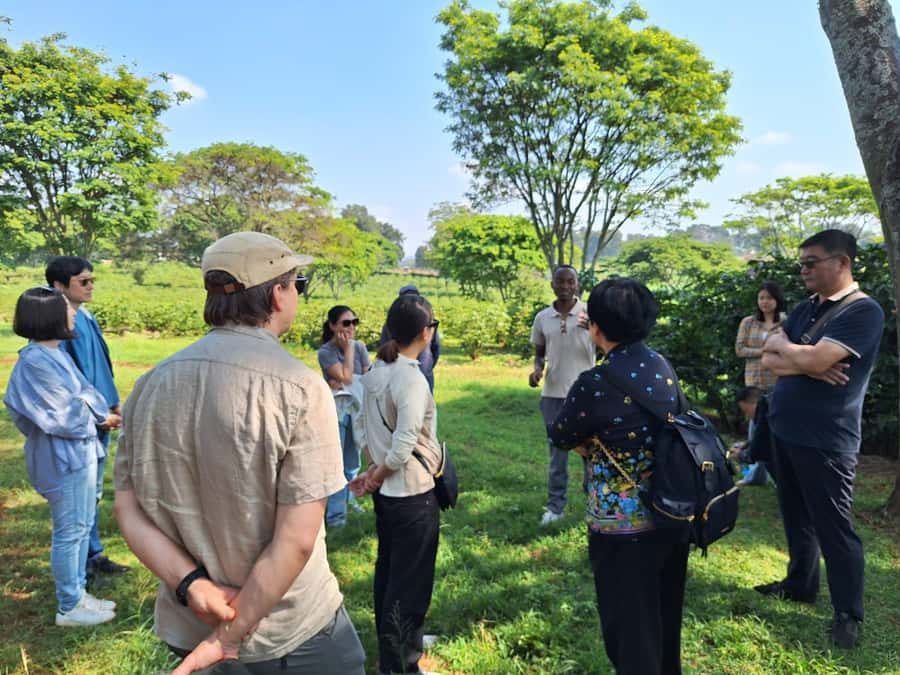 Nairobi: Coffee farm tour with pick up - From Nairobi to Fairview Estate at 9:00 AM