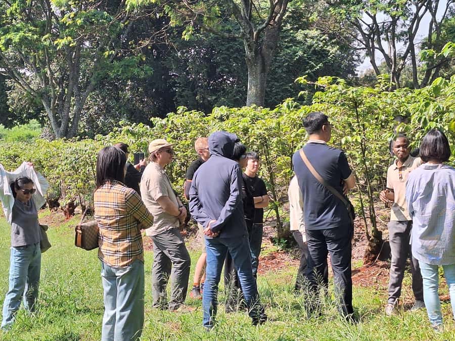 Nairobi: Coffee farm tour with pick up - Guides, communication, and the shape of the day