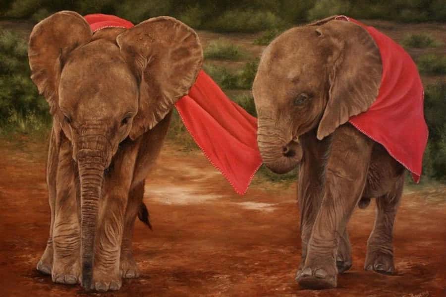 Nairobi: David Sheldrick Elephant Orphanage Visit - Getting there from your Nairobi hotel