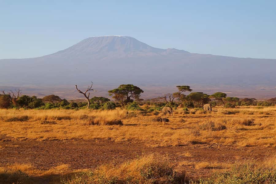 Nairobi: Day Tour to Amboseli National Park & Maasai Village - The Maasai village visit