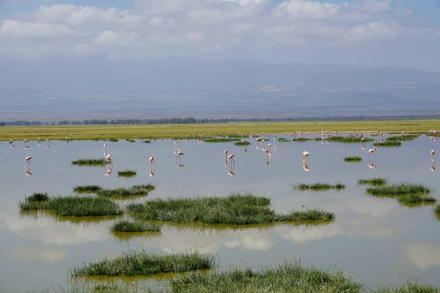 Nairobi: Day Tour to Amboseli National Park & Maasai Village - The early road from Nairobi to Amboseli