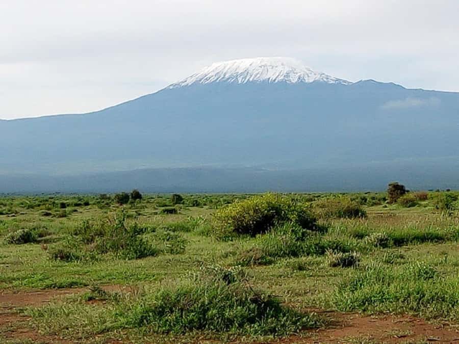 Nairobi: Day Trip to Amboseli National Park - Entering Amboseli near 10:00 AM