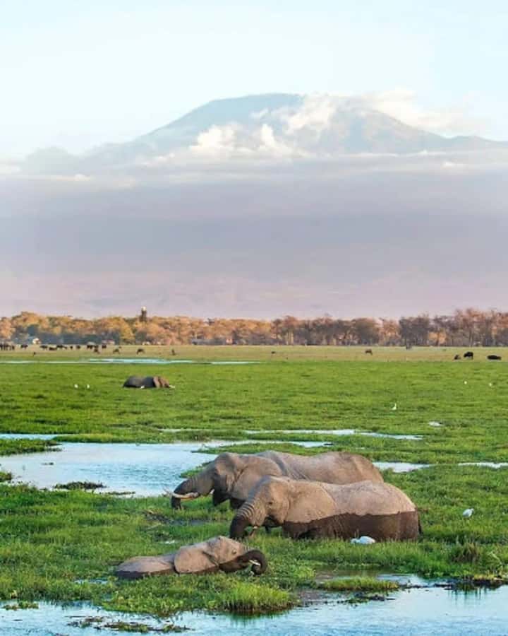 Nairobi: Day Trip to Amboseli National Park - Observation Hill and the best wide view