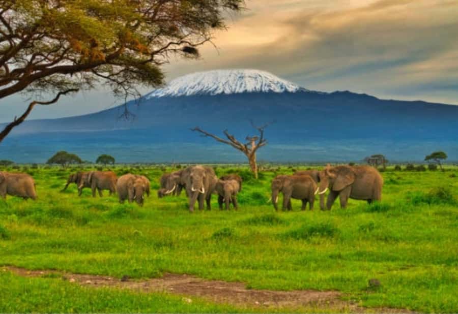 Nairobi:Day trip to Amboseli National park & Maasai village - The ride from Nairobi to the park