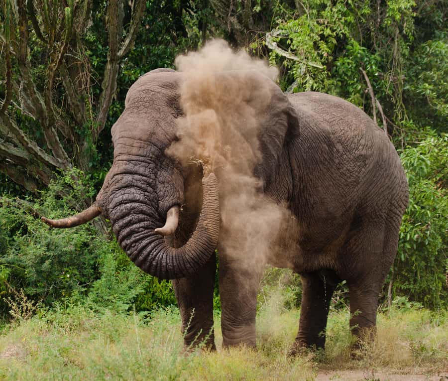 Nairobi: Day Trip to Maasai Mara Reserve & Maasai village - The late return to Nairobi