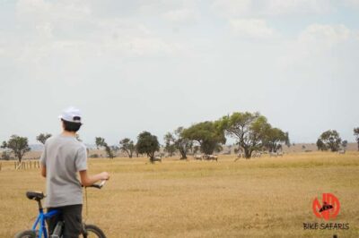 E-Bike/Cycling Wildlife Safari with Transfer & meal
