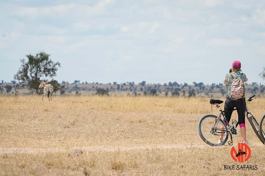 Nairobi: E-Bike/Cycling Wildlife Safari with Transfer & meal - Watching wildlife from two wheels