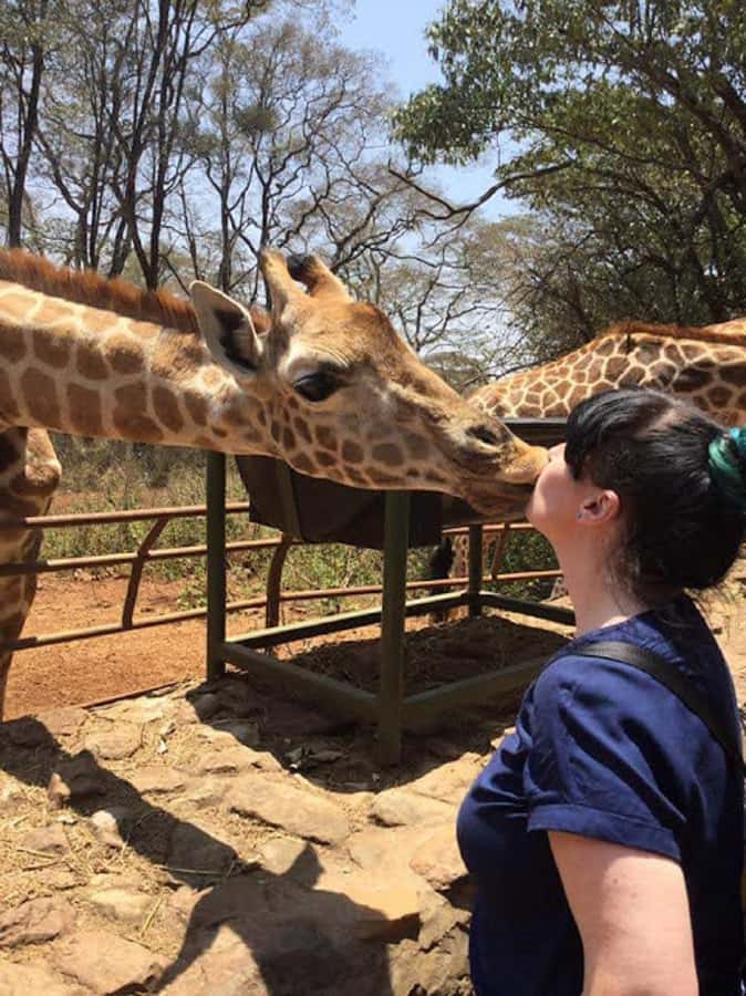 Nairobi: Elephant Orphanage, Beads Factory , giraffe center - Key points to know before booking