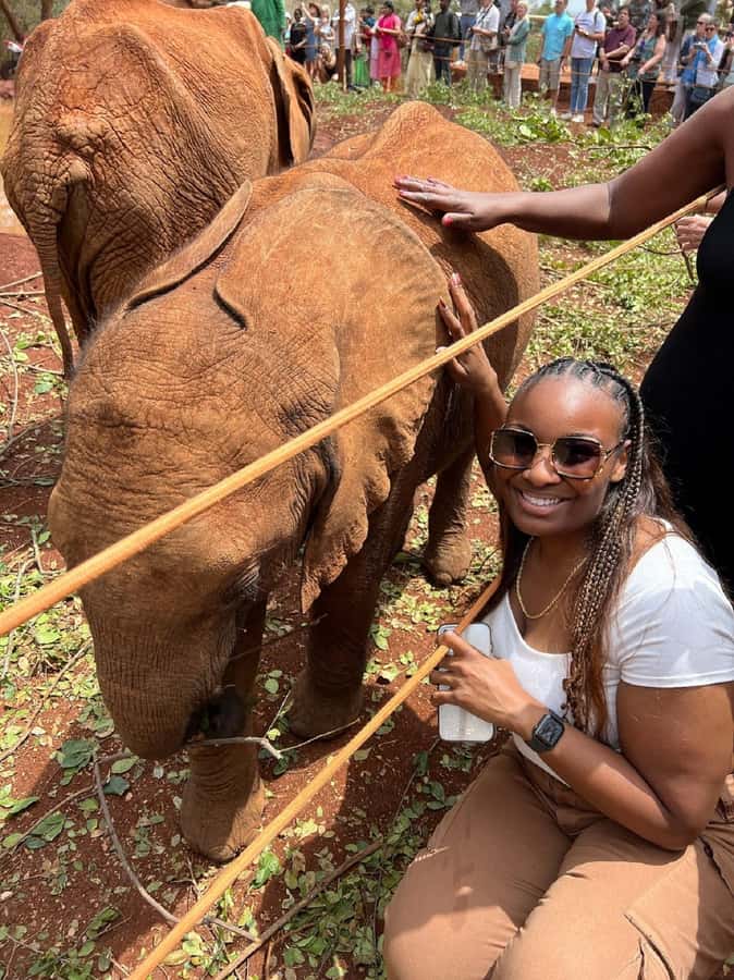 Nairobi: Elephant Orphanage, Beads Factory , giraffe center - What the $28 price really covers