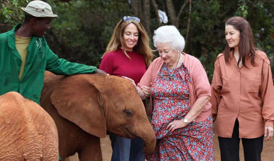Nairobi: Elephant Sanctuary and Giraffe Center Day Tour - Key points to know before booking