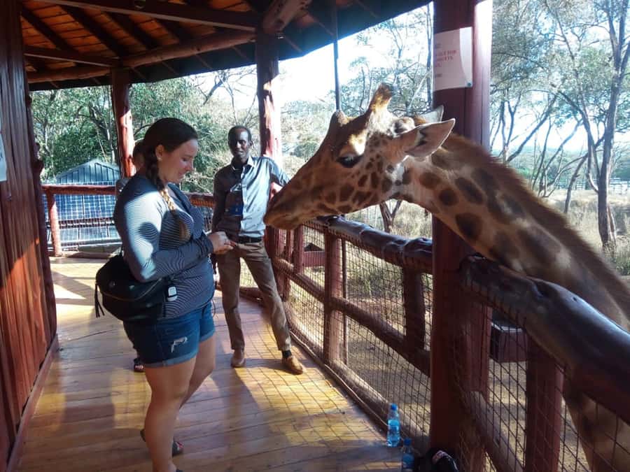 Nairobi: Elephants, Giraffes, Karen Blixen & Bomas Tour - Key points to know before booking