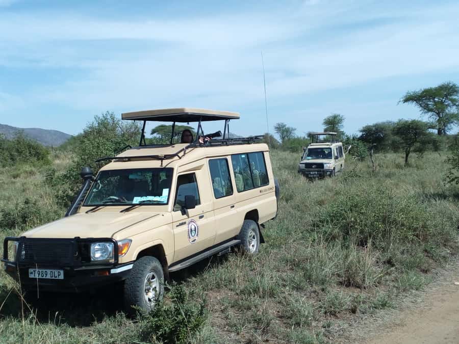 Nairobi: Elephants, Giraffes, Karen Blixen & Bomas Tour - Feeding giraffes at the Giraffe Centre