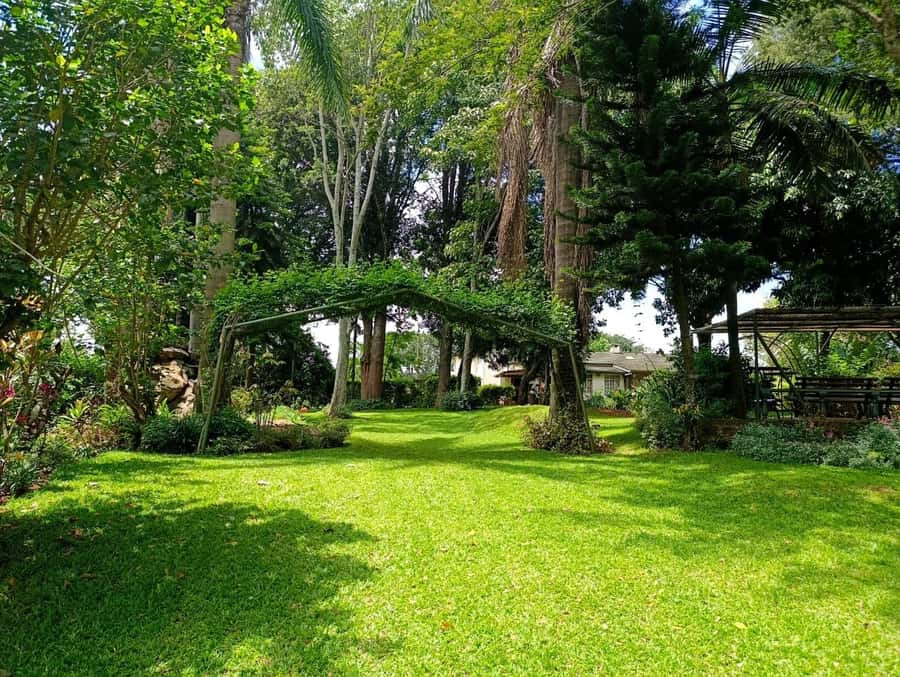 Nairobi: Fairview Coffee Estate Tour with Pickup - Finishing with fruit, pastries, and juice