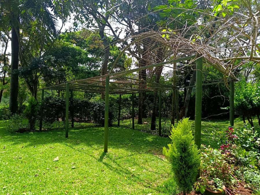 Nairobi: Fairview Coffee Estate Tour with Pickup - Is $38 a good deal when entry costs $30 extra?