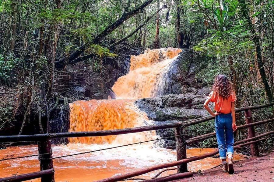 Nairobi: From Nairobi-Karura Forest Guided Walking Tour - Why Karura Forest makes a good Nairobi break