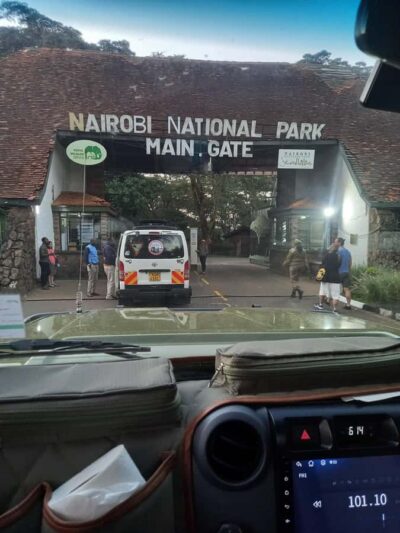 Game drive, elephant Orphanage & giraffe centre.