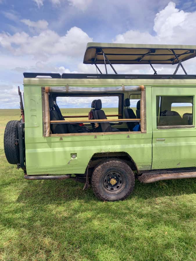 Nairobi: Game drive, elephant Orphanage & giraffe centre. - Who should choose this experience