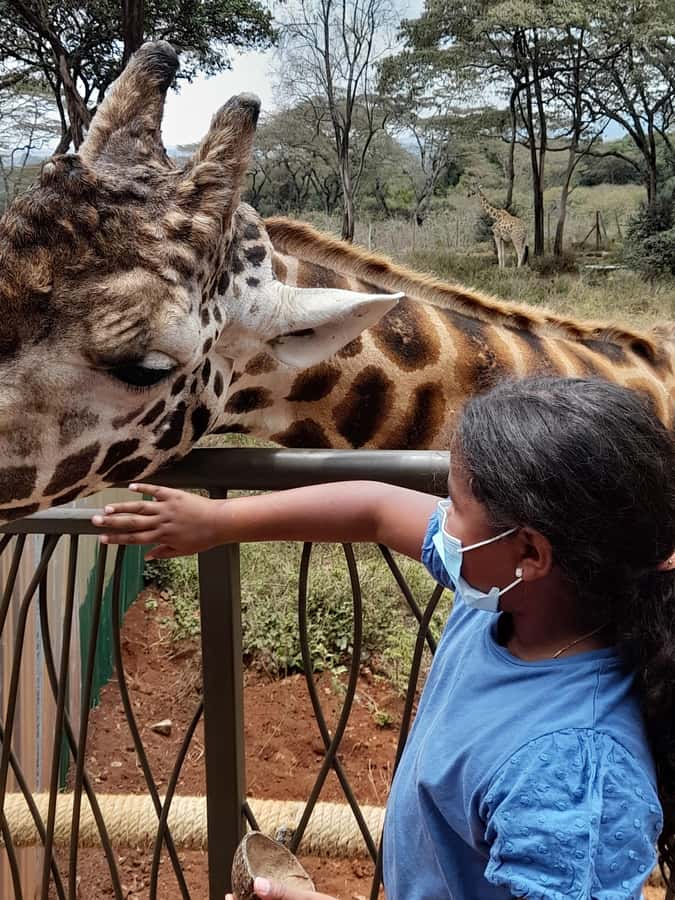Nairobi: Giraffe Center, Beads Factory & Bomas of Kenya Tour - Should you book this tour?