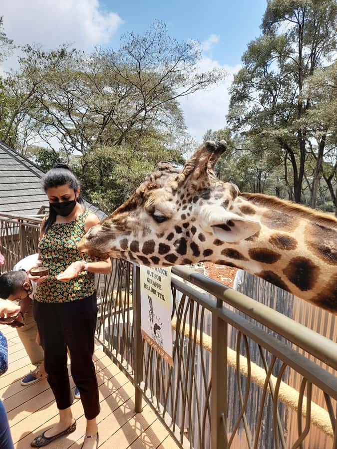 Nairobi: Giraffe Center, Beads Factory & Bomas of Kenya Tour - The guide and the small-group experience