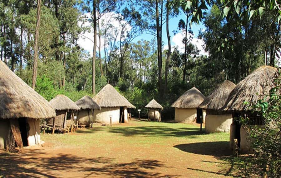 Nairobi: Giraffe Center, Beads Factory & Bomas of Kenya Tour - What to bring for a comfortable day