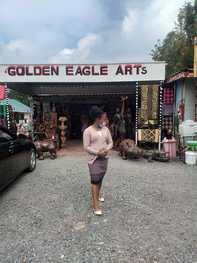 Nairobi: Giraffe Center, Beads Factory & Bomas of Kenya Tour - Who should choose this Nairobi outing?
