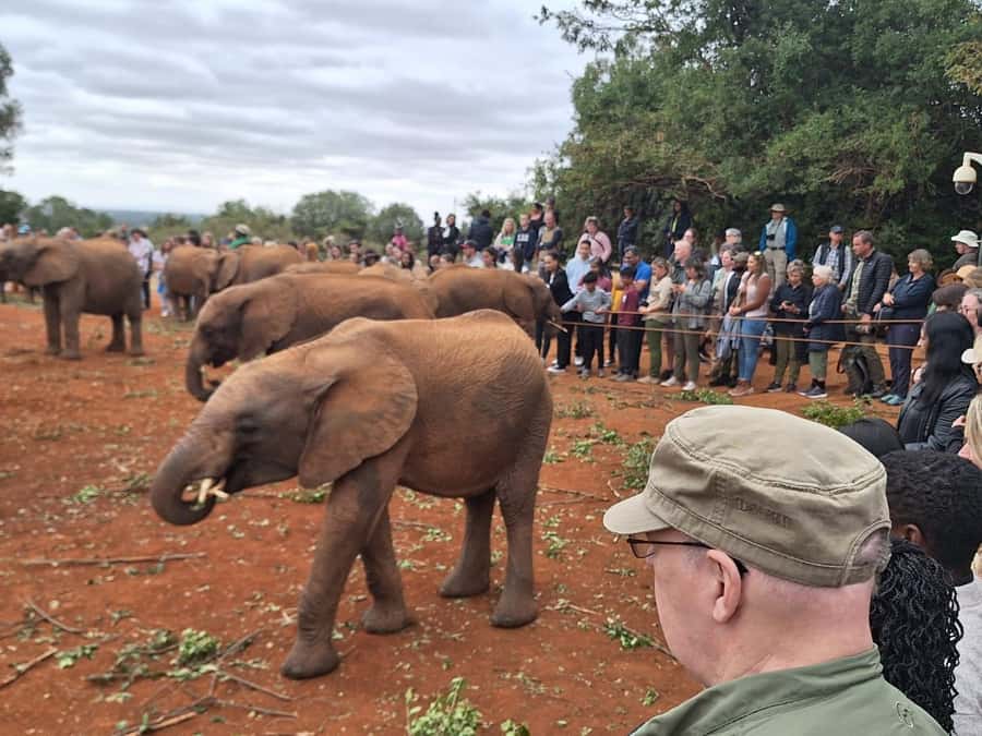 Nairobi: Giraffe Center, Elephant Orphanage, and Beads Tour - Why this five-hour Nairobi tour works