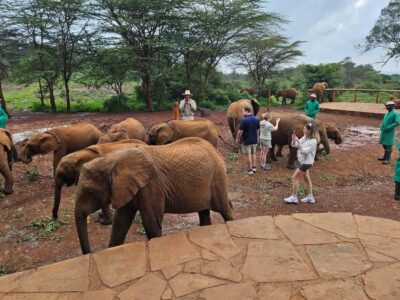 Giraffe Center, Elephant Orphanage, and Beads Tour