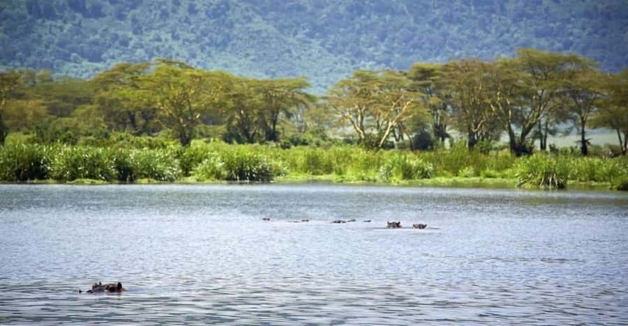 Nairobi:Group Hell's Gate National Park & Lake Naivasha Tour - The Great Rift Valley viewpoint sets the scene